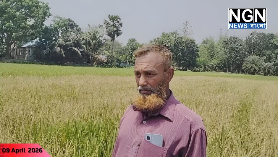 মান্দায় জমি বিরোধে ধানক্ষেতে