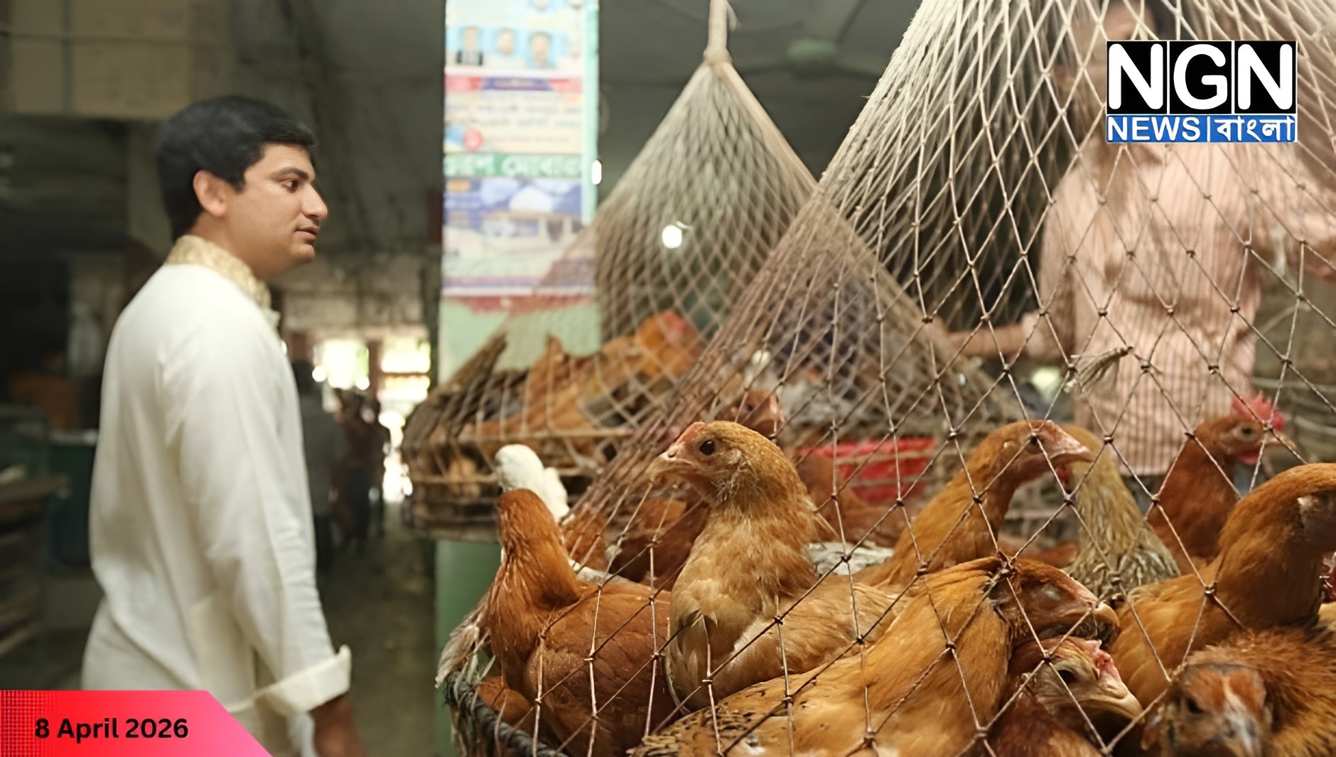 মুরগির দাম বৃদ্ধি