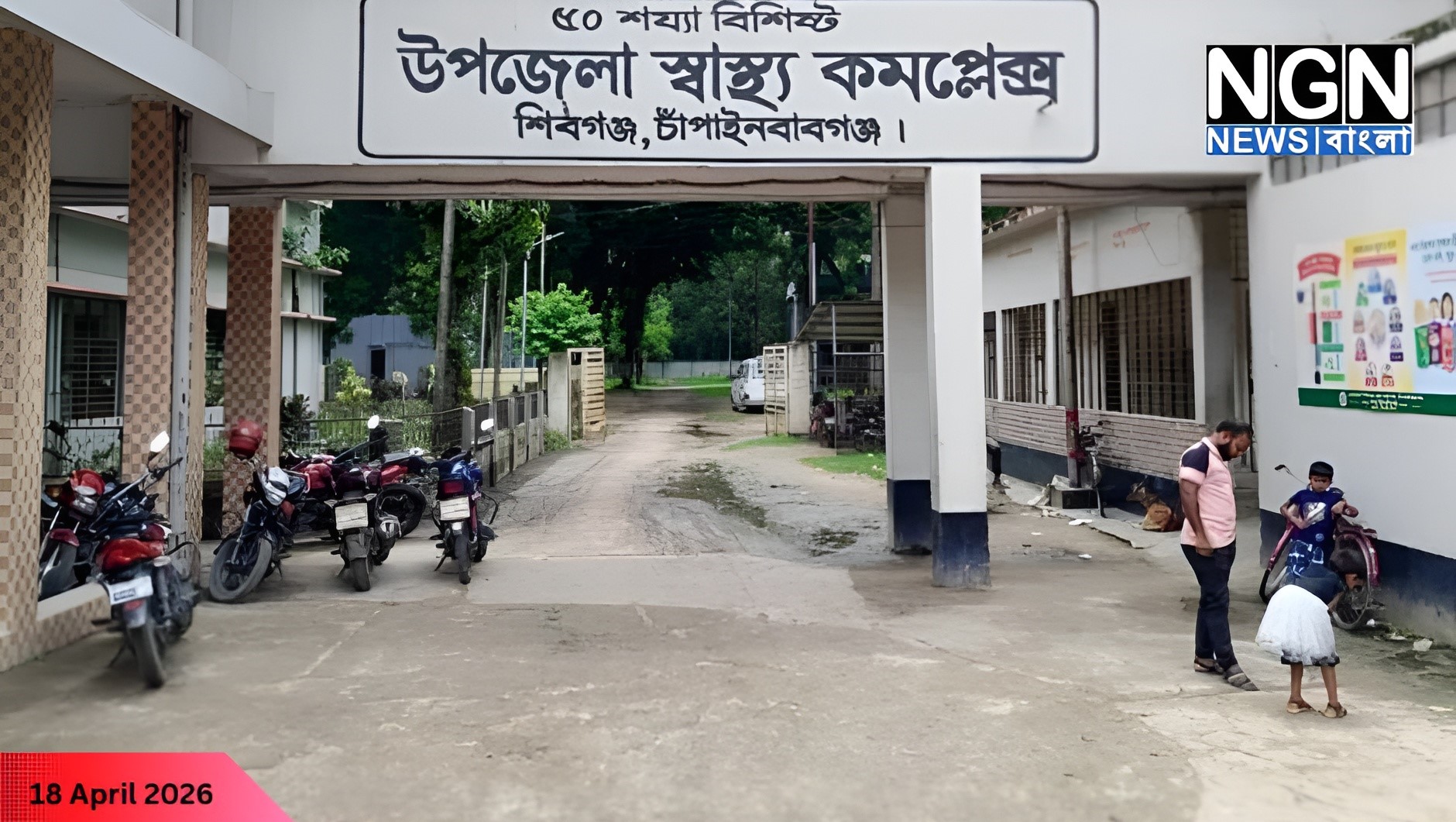 শিবগঞ্জে ভিমরুলের আক্রমণ
