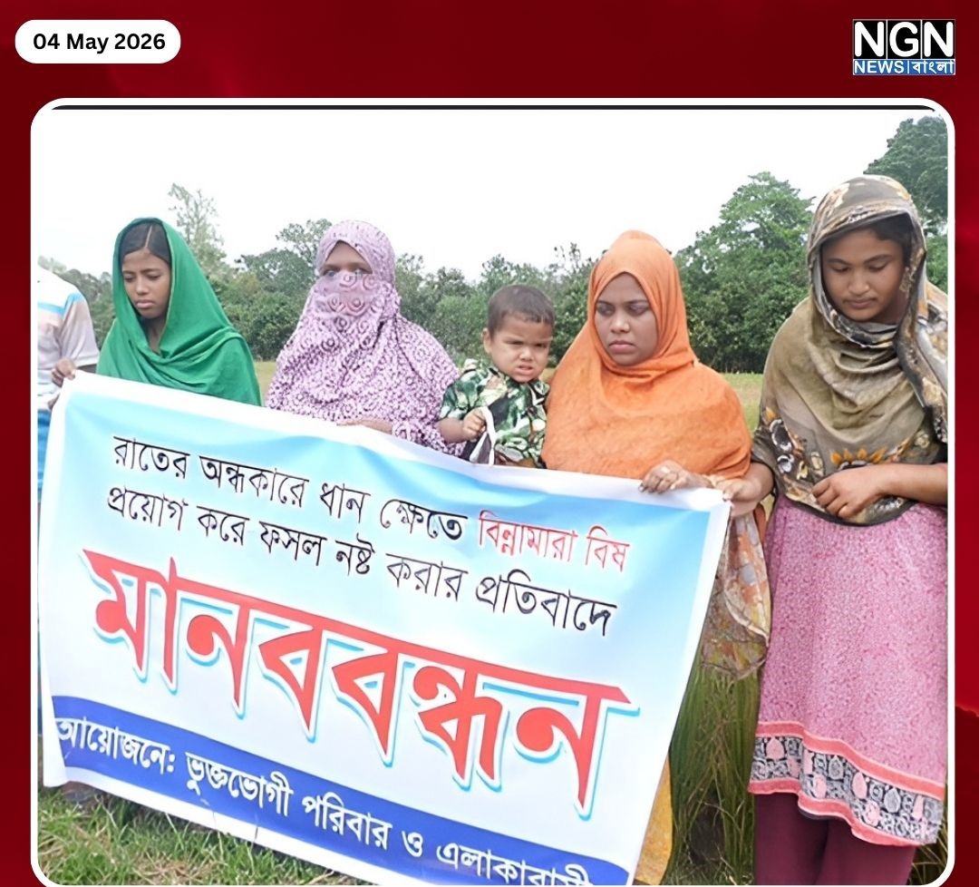 পত্নীতলায় ধানক্ষেতে বিষ প্রয়োগ