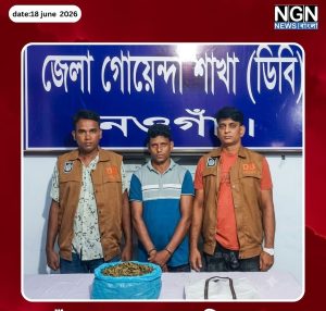 নওগাঁয় ২ কেজি গাঁজাসহ গ্রেফতার
