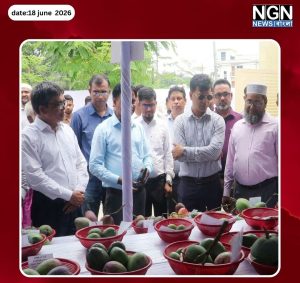 নওগাঁয় জাতীয় ফল ও আম মেলা