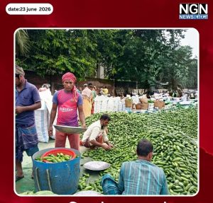 বদলগাছী হাটে খাজনা অনিয়ম