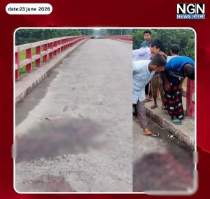বদলগাছীতে বজ্রপাতে মৃত্যু