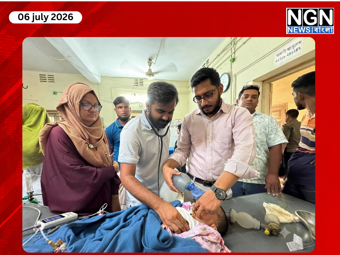 পোরশায় শূকরের সঙ্গে অটোরিকশা ধাক্কা