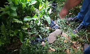 বগুড়ায় সাবেক ইউপি সদস্য হত্যা ঘটনায় পুলিশের তদন্ত