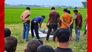 পত্নীতলার ফহিমপুরে রাস্তার ধারে অর্ধগলিত মরদেহ