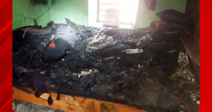 রাণীনগরে প্রবাসীর বাড়িতে আগুনে পুড়ে যাওয়া মালামাল